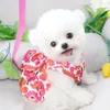 Hundebekleidung Haustier Prinzessin Kleid Frühling Sommer Mode Desinger Kleidung Kleiner süßer Cartoon Rock Katzengeschirr Chihuahua Pudel Yorkshire