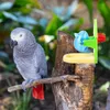 Autres fournitures d'oiseaux Jouets alimentaires manquants Perroquet Fuite Éducatif Budgerigar Formation Jouet Plastique Pet Intéressant