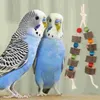 Andra fågelförsörjningar som tuggar leksaksparaker papegoja bur hängande bita