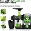 Juicers Cold Press Slow Juicer med 3 typer av grönsaks- och fruktjuicerekstraktorer fria från bisfenol en hög hårdhet långsam juicerl2403