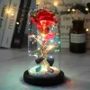 Tändare ledde Enchanted Galaxy Rose Eternal Gold Foil Flower With Fairy String Lights in Dome for Christmas Valentine's Day Gift 2023