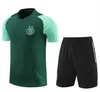 2023/24 Argelia Chándal MAHREZ Pantalones cortos de manga corta Camisetas de fútbol Algerie BOUNEDJAH Survetement maillot de foot FEGHOUL Ropa deportiva Traje de entrenamiento de fútbol