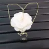 Collana con ciondolo stile di lusso placcato in oro Designer di marca Nuove collane da donna primaverili progettate specificamente per ragazze affascinanti con scatola per collane