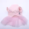 Vêtements pour chiens Chat Princesse Robe Dentelle Boutons tricotés à la main Pet Chiot Sangle Jupe Printemps / Vêtements d'été