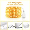 LED USB Fairy Lights Copper Wire String Lights Garland Night Lamp Home Room Indoor Bedroom Wedding Holiday Christmas Decoration