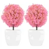 Decorative Flowers 2 Pcs Plant Simulated Potted Office Fake Bonsai Faux Plants Indoor With Pink Artificial For Home Decor
