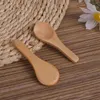 Spoons Small Creative Household Nature Home Cooking For Kitchen Wooden Mini Supplies Condiments