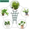 Supports 6Pcs Garden Plant Climbing Trellis for Potted Climbing Flower Outdoor Indoor Pot Plastic Vegetable Support Gardening Supplies