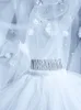 2T 3D FRS Wedding Veil med Comb Cover Face Pearls LG Bridal Veils Y88Q#