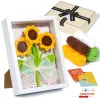 Kit per lavorare a maglia all'uncinetto fai da te Principianti Kit per principianti all'uncinetto con girasole Kit per lavorare all'uncinetto per adulti e bambini con video tutorial StepbyStep