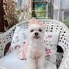 Köpek Giyim Süpreppet Elbiseler Küçük Köpekler Dantelli Sling Puppy Elbise Kız Saf Pamuk Yaz Pet Kedi Giysileri Sevimli Bichon Teddy Giysileri