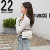 Schoudertassen PU Mode Dames Vrije tijd Crossbody Tas Krokodilpatroon Handtas Messenger Kettingslot Klein Vierkant Groothandel