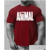 Homens Camisetas Mens 7 Cores Camisetas Verão Animal Fitness Esportes Casual T-shirt Algodão Alta Elasticidade Respirável Roupas de Moda Dr Dhozs