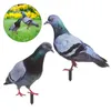 Garden Decorations 2 PCS Pigeon Decoration Accessory Yard Sign Animal Statue Lawn Stake Akryl Yards