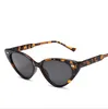 Vintage Cat Eye Sonnenbrille Herren Damen Neu in Mode Unregelmäßige Farbverlauf Brillen Schattierungen Markendesigner Sonnenbrille