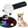 Hundhalsar PET LED Pendant Clip-On USB uppladdningsbar krage ljus med 4 lägen och vattentäta lampor för natten