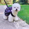 Abbigliamento per cani Abbigliamento da esterno Pettorina Gonna Guinzaglio estivo per animali domestici Piombo Yorkshire Pomerania Bichon Barboncino Schnauzer Abbigliamento Dropship