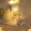 Guirlande lumineuse féerique à 20Led, 20 paquets de 2M, fil de cuivre argenté, alimenté par batterie, décorations pour fête de mariage, décor de noël