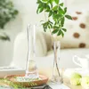 Vases Vase en verre esthétique hydroponique grand moderne nordique petit design transparent plante décoration maison