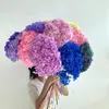 Decorative Flowers Preserved Hydrangea Dried Arrangement Wedding Flower Christmas Party Gift Decor Po Props