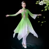 chinese Folk Dance Classical Yangko Dance Costumes Adult Elegant Embroidery Fan Costume Ancient Hanfu Clothing Square Dance k4es#