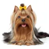Abbigliamento per cani 20 pezzi Fiocchi per capelli per cuccioli di gatto con elastici Accessori per toelettatura per forniture per cani di piccola taglia