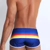 Maillots de bain pour hommes pantalons de plage Surf maillot de bain Planche de surf Sexy arc-en-ciel Pride Strips Maillots de bain Pad Push-up Maillots de bain 240325