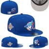 2024 Vente chaude Adulte Designer Chapeaux ajustés Baseball Fit Chapeau plat Blue Bird Team Logo Broderie Sports de plein air Hip Hop Fisherman Mesh Cap SF022