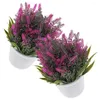 Flores decorativas 2 pçs planta artificial lavanda plantas de interior vasos bonsai pequeno plástico falso ornamentos decorações para festa