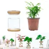 Vaseシンプルなスタイルのオフィスの装飾品ホームデコレーションフラワーアレンジメントプラスチック花瓶植物ポット水耕栽培