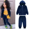 Kids Clothing Sets Sweaters Hoodies Fashion Autumn Girl Boy Sweatshirts Toddler Baby pleuche Coats Tops +pants 2pcs Suit Children Tracksuit