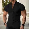 Men's Casual Shirts Men Short-sleeve Button-down Stylish Stand Collar Cardigan Shirt For Summer Business Wear