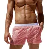 Pantaloncini da uomo Board Costume da bagno da uomo Tinta unita Elastico in vita Costumi da bagno estivi trasparenti da spiaggia con tasche