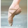 Dance Buty Profesjonalne taniec dla mężczyzn dla tancerzy baletowych Dames Schoenen Stretch Cotton Shoe Wygodne trampki