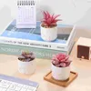 Decorative Flowers 3 Pcs Succulents Plants Artificial Fake Faux In Pots Potted For Home Decors