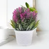 Flores decorativas 2 pçs planta artificial lavanda plantas de interior vasos bonsai pequeno plástico falso ornamentos decorações para festa