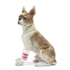 Vêtements pour chiens Attelles de jambe canine: 4 pièces Poignet avant Jambes carpiennes Enveloppes Protecteur de coude Prévient les blessures Entorses Bleu