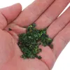 Flores decorativas Mini hojas de simulación Planta de decoración artificial DIY Verde para modelos Plantas en macetas Mesa de arena falsa Césped Bonsai