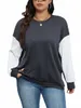 plus Size Colorblock Bishop Sleeve Sweatshirt F1G2#