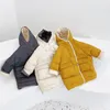 Piumino invernale per bambina Giacca per ragazzi Cappotti di moda Anatra bianca Bambino con cappuccio per esterno Addensare caldo Abbigliamento in cotone da neve per bambini