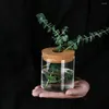 Vazolar Moda Silindirik Yeşil Bitki Cam Vazo Çok Amaçlı Bitkiler Çalışma Oturma Odası için Şişe Dikim