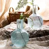 Jarrones ligeros de lujo con hielo de azufre, jarrón de cristal agrietado, artículos de flores europeas nutritivas para agua, decoración transparente para sala de estar