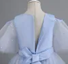 Jolies robes d'anniversaire/de fête pour fille, bleu marine, vert, Champagne, vin, col en V, robes de concours de beauté, robes de demoiselle d'honneur, jupes de tous les jours, vêtements pour enfants, SZ 2-10 D330081