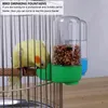 Autres fournitures d'oiseaux 3 pièces ustensiles accessoires de cage à oiseaux mangeoires perroquet abreuvoir fontaine à boire bol en plastique