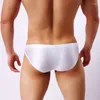 Cuecas brilhantes sem costura calcinha homens briefs nylon ultra-fino g-string tangas baixo aumento lingerie gelo seda homem roupa interior plus size