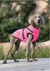 Vêtements pour chiens Vêtements pour animaux de compagnie Grande veste Hardshell épaissie Fournitures imperméables pour chiens 1PC