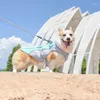 Abbigliamento per cani Pettorina per gilet rinfrescante per animali domestici Abiti estivi Rete riflettente regolabile ad asciugatura rapida per protezioni UV