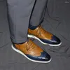 Sapatos casuais de luxo artesanal de couro de vaca real masculino oxford tênis rendas-up wingtip brogue avestruz padrão marrom azul calçado masculino