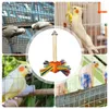 Inne ptaki dostarczają zabawki papugi dla dużych ptaków drewniane bezpieczne kolorowe kakadu Alexandrine Parakeet małe mary cockatoos