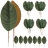 Flores decorativas 30 pçs folhas de magnólia artificial diy grinalda realista falso vegetação guirlanda falso para artesanato decoração decorar único